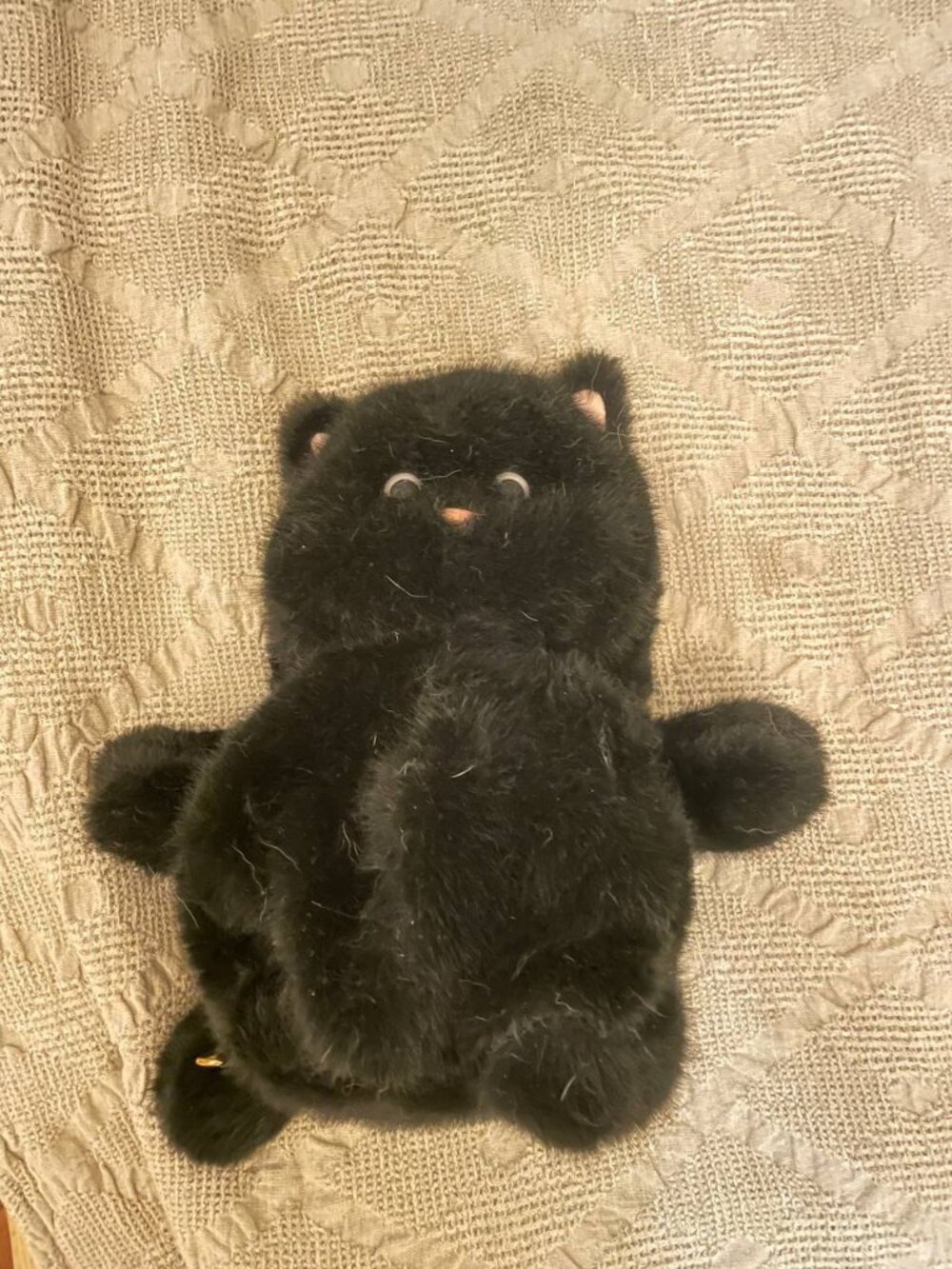 Cute Black Cat Plush Toy